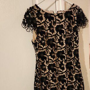Alice and Olivia black lace dress size 4 NWT